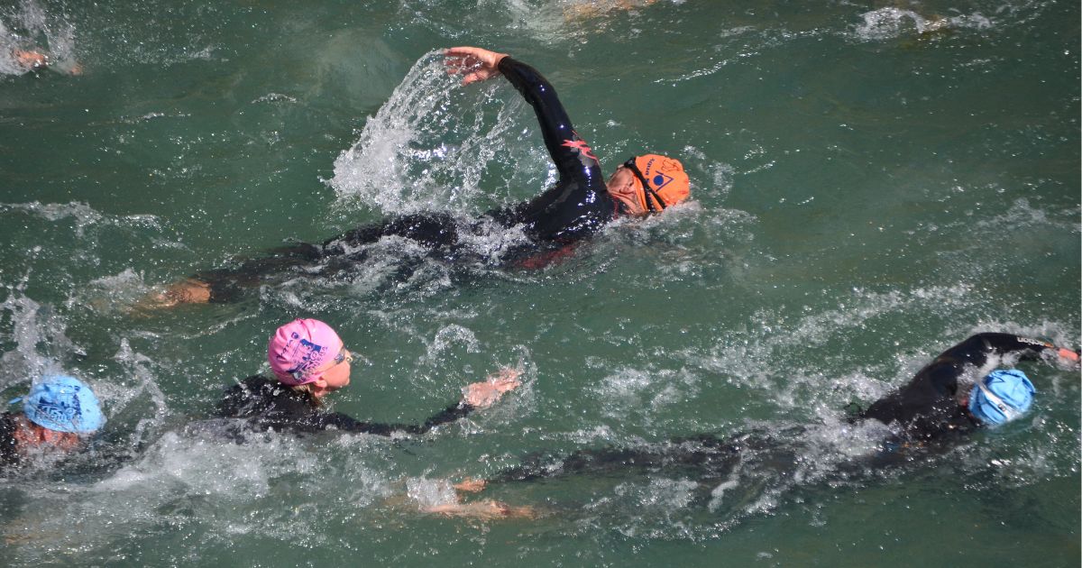 Triathletes in wetsuits and coloured caps swimming freestyle in open water